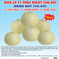 Hạt giống Dưa lê F1 Siêu Ngọt Ngân Huy (Va.69) 5gram