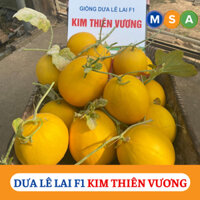 Hạt giống Dưa Lê Lai F1 Kim Thiên Vương