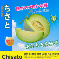Hạt Giống Dưa Lưới Ruột Xanh CHISATO - Hạt giống Nhật Bản Nhập Khẩu F1