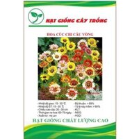 Hạt giống hoa cúc chi cầu vòng mix CT390 - Gói 50 hạt