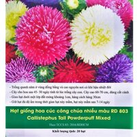 Hạt Giống Hoa Cúc Công Chúa Nhiều Màu Mix 0.1 gram Rado 803