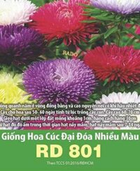 Hạt giống Hoa Cúc đại đóa mix 0.1gr