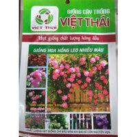 HẠT GIỐNG HOA HỒNG LEO NHIỀU MÀU