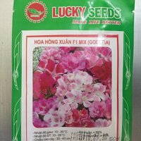 Hạt giống Hoa Hồng Xuân Mix Màu- Lucky. Mỗi Túi 50 Hạt Chất Lượng Cao.