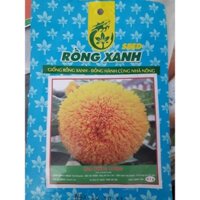 HẠT GIỐNG HOA HƯỚNG DƯƠNG VÀNG. [ RẺ HƠN HOÀN TIỀN ]