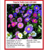 Hạt giống hoa thạch thảo cây cao mix gói 50 hạt xuất xứ Đức