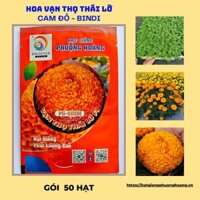 Hạt Giống Hoa Vạn Thọ Cao Lỡ Cam Đỏ PHBINDI