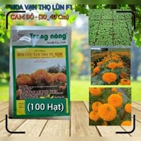 Hạt giống Hoa Vạn Thọ Lùn F1 cam đỏ - Gói (100 Hạt) BÔNG TO