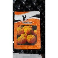 Hạt giống Hoa Vạn Thọ Thái Lùn F1 Cam Đỏ AFM 46 AmeriSeed