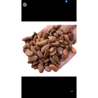 Hạt giống hồng cẩm thạch (15hạt)