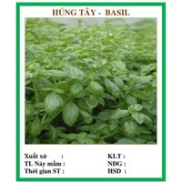 Hạt giống Húng tây - Basil 30hạt