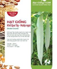 Hạt giống Khổ qua Tây - Mướp ngọt - Gói 2gr
