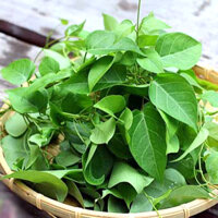 Hạt Giống Lá Giang - 10 Hạt