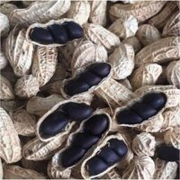 Hạt giống lạc đen kokuma - 500gr/gói