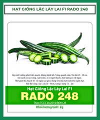 Hạt giống lặc lày lai F1 Rado 248 (Lặc lè, Mướp ngọt)