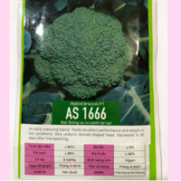 HẠT GIỐNG LƠ XANH F1 AS 1666