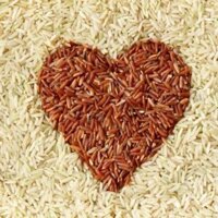 Hạt giống lúa lứt huyết rồng túi 1kg _Tập làm vườn cùng Mạc Kỳ Lâm