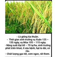 Hạt giống lúa Séng cù thuần của người Mông túi 1kg