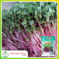 Hạt giống mầm củ cải đỏ ITALIA Phú Nông - Gói 30g - Nảy mầm nhanh, phát triển khỏe VTNN Nông Điền Trang