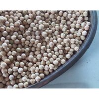HẠT GIỐNG MẦM ĐẬU HÀ LAN GÓI500G - GIỐNG CHUẨN, CHẤT LƯỢNG CAO