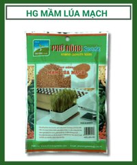 Hạt giống mầm lúa mạch Phú Nông