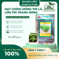 Hạt giống mồng tơi lá lớn TN1 Trang Nông (gói 500gram) - hạt giống nảy mầm tốt, năng suất cao