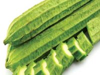 Hạt giống mướp khía