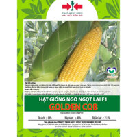 HẠT GIỐNG NGÔ ( BẮP ) NGỌT GOLDEN COB GÓI 500G HAI MŨI TÊN ĐỎ
