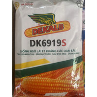 Hạt giống ngô chuyển gen DK6919s gói 1kg