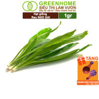 Hạt Giống Ngò Gai Greenhome, Gói 1gr, Mùi Tàu, Dễ Trồng Quanh Năm, Nảy Mầm Cao, Thu Hoạch Nhanh, Năng Suất Cao G08