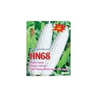 Hạt Giống Ngô Nếp HN68 500gram - Hạt Ngô Dẻo Thơm Ngon Đều Hạt