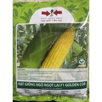 Hạt giống ngô ngọt (bắp mỹ) lai F1 GOLDEN COB Hai Mũi Tên Đỏ gói 500gram