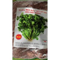 Hạt giống ngò rí (rau mùi ta) chịu nhiệt, hạt lớn - gói 1kg