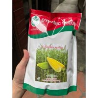 Hạt Giống Ngô Vàng Ngọt Thái Lan - Gói 1KG - hatgiongcaytronggiasi