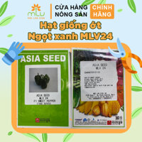 Hạt giống ớt Ngọt Xanh MLV24, túi 100 hạt