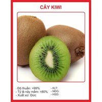 Hạt Giống Quả Kiwi 30 Hạt