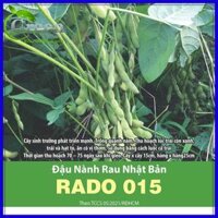 Hạt Giống Rau Ăn Lá Tổng Hợp Xà Lách, Cải, Mồng Tơi,... Dễ Trồng, Nảy Mầm Cao - Đậu nành rau