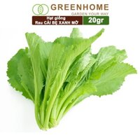 Hạt giống rau Cải bẹ xanh mỡ, gói 20g, dễ trồng, thu hoạch nhanh R04  - CẢI BẸ XANH MỠ R04