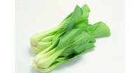 Hạt giống rau cải chíp( cải thìa)
