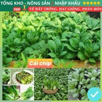 Hạt giống rau cải thìa F1  (gói 200g, 500g, 1kg) dễ trồng kháng bệnh tốt năng suất cao có hướng dẫn