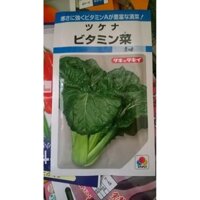 hạt giống rau cải vitamn na nhật bản