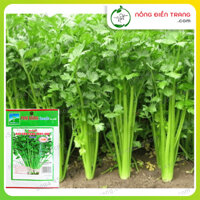 Hạt giống Rau Cần Tây Cọng Xanh Phú Nông - Gói 5g - Dễ Trồng Năng Suất Cao Kháng Bệnh Tốt VTNN Nông Điền Trang