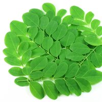 HẠT GIỐNG RAU CHÙM NGÂY -  5 GRAM