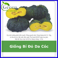 Hạt Giống Rau Củ Quả Thông Dụng Dễ Trồng Nảy Mầm Cao - Bí đỏ da cóc