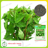 Hạt Giống Rau Đay Đỏ Phú Nông - Gói 20g - Dễ trồng, tỉ lệ nảy mầm cao, sinh trưởng khỏe VTNN Nông Điền Trang