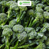 Hạt giống rau lơ xanh