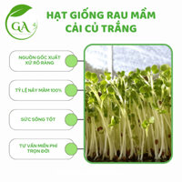 HẠT GIỐNG RAU MẦM CẢI CỦ TRẮNG CHẤT LƯỢNG_GÓI 1 KG