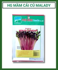Hạt giống rau mầm cải củ Malady Phú Nông