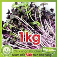 Hạt Giống Rau Mầm Cải Tím Malady 1kg - Bán Buôn
