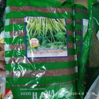 Hạt giống rau mầm củ cải trắng 1kg